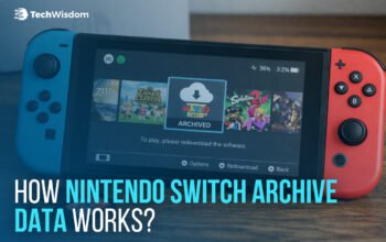 Nintendo Switch Archive Data