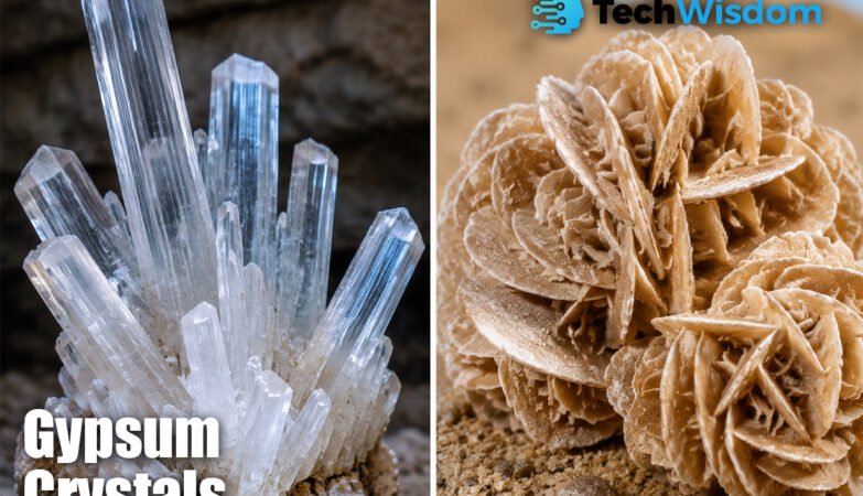 Gypsum Crystals