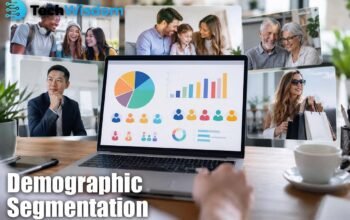 Demographic Segmentation